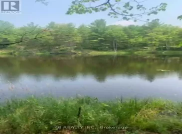 0 Old Sulphide Road, Addington Highlands, ON K0K3J0, ,Vacant Land,For Sale,Old Sulphide,X6780522