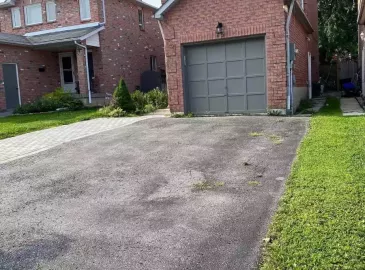 75 Ferguson Drive, Barrie, ON L4N7E5, 1 Bedroom Bedrooms, ,1 BathroomBathrooms,Single Family,For Lease,Ferguson,S6781352