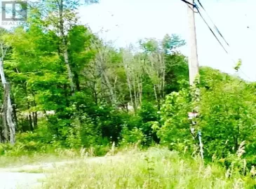 00 Harlowe Road, Addington Highlands, ON K0H2G0, ,Vacant Land,For Sale,Harlowe,X6800450