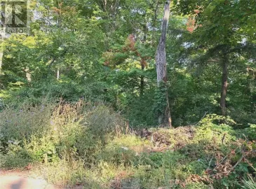 28 Beach Road, Whitchurch-Stouffville, Ontario L0H1G0, ,Vacant Land,For Sale,Beach,N6800936