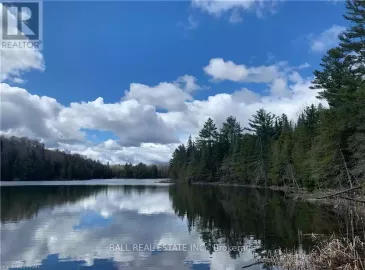 0 Johnson Road, North Kawartha, ON K0L1A0, ,Vacant Land,For Sale,Johnson,X6804212 0 Johnson Road, North Kawartha, ON K0L1A0, ,Vacant Land,For Sale,Johnson,X6804212
