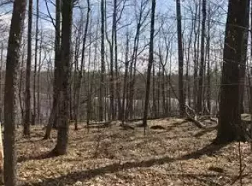 941 Northey's Bay (Next) Road, North Kawartha, ON K0L2H0, ,Vacant Land,For Sale,Northey's Bay (Next),X7010444