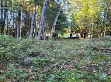 Pt3 County Road #46, Havelock-Belmont-Methuen, ON K0L1Z0, ,Vacant Land,For Sale,County Road #46,X7017214 Pt3 County Road #46, Havelock-Belmont-Methuen, ON K0L1Z0, ,Vacant Land,For Sale,County Road #46,X7017214