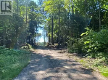 Pt Lt 3 County Rd 45, Hamilton Township, ON K0K1C0, ,Vacant Land,For Sale,County Rd 45,X7043666