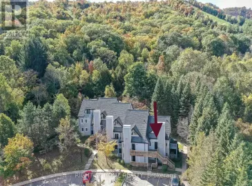 796468 Grey 19 Road, Blue Mountains, ON L9Y0N6, 2 Bedrooms Bedrooms, ,2 BathroomsBathrooms,Single Family,For Sale,Grey 19,X7219882 796468 Grey 19 Road, Blue Mountains, ON L9Y0N6, 2 Bedrooms Bedrooms, ,2 BathroomsBathrooms,Single Family,For Sale,Grey 19,X7219882