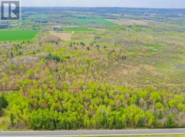 7612 County Rd. 13, Adjala-Tosorontio, Ontario L0M1M0, ,Vacant Land,For Sale,County Rd. 13,N7285910