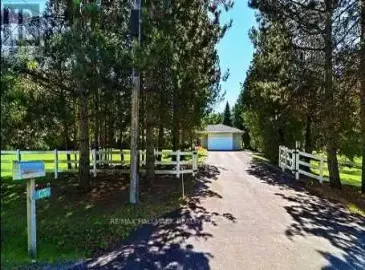 1279 Doane Road, East Gwillimbury, ON L0G1R0, 4 Bedrooms Bedrooms, ,2 BathroomsBathrooms,Single Family,For Lease,Doane,N7286230 1279 Doane Road, East Gwillimbury, ON L0G1R0, 4 Bedrooms Bedrooms, ,2 BathroomsBathrooms,Single Family,For Lease,Doane,N7286230