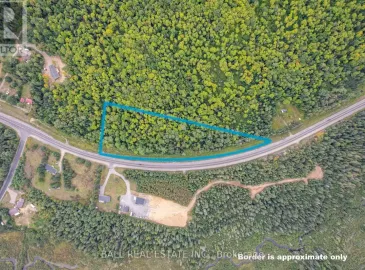 Lot 29 Hwy 62, Hastings Highlands, ON K0L1C0, ,Vacant Land,For Sale,Hwy 62,X6780572