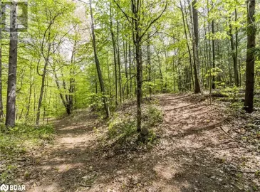 358 SHANTY BAY Road, Oro-Medonte, Ontario L4M1E7, ,Vacant Land,For Sale,SHANTY BAY,40477027