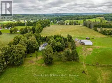 1918 Concession Rd 2, Adjala-Tosorontio, Ontario L0N1P0, 6 Bedrooms Bedrooms, ,3 BathroomsBathrooms,Single Family,For Sale,Concession Rd 2,N6783322