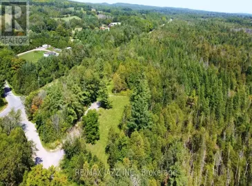435 Bull Road, Alnwick/Haldimand, ON K0K1C0, ,Vacant Land,For Sale,Bull,X6784106