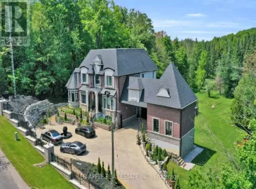 340 Churchill, King, Ontario L7B0G9, 4 Bedrooms Bedrooms, ,6 BathroomsBathrooms,Single Family,For Sale,Churchill,N6783942
