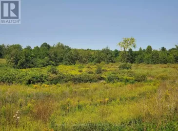 0 Jones Road, Centre Hastings, Ontario K0K2K0, ,Vacant Land,For Sale,Jones,X6784516