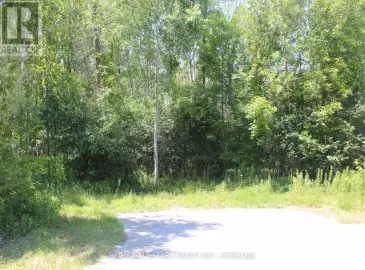0 Metro Road, Georgina, ON L4P3G1, ,Vacant Land,For Sale,Metro,N6806026