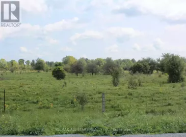 1 Talbot Road, Kawartha Lakes, ON K0M2B0, ,Vacant Land,For Sale,Talbot,X6807192