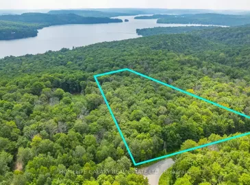 0 Hummingbird Road, Dysart et al, ON K0M1S0, ,Vacant Land,For Sale,Hummingbird,X6809022
