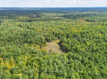 Ptlt 16 Con 3 Upper Flinton Road, Addington Highlands, Ontario K0H1P0, ,Vacant Land,For Sale,Con 3 Upper Flinton,X7016962
