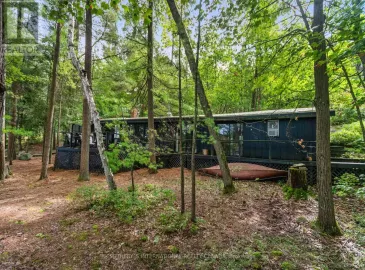 8894 Go Home Lake Shore, Georgian Bay, Ontario P0C1H0, 3 Bedrooms Bedrooms, ,3 BathroomsBathrooms,Single Family,For Sale,Go Home Lake Shore,X7019050 8894 Go Home Lake Shore, Georgian Bay, Ontario P0C1H0, 3 Bedrooms Bedrooms, ,3 BathroomsBathrooms,Single Family,For Sale,Go Home Lake Shore,X7019050