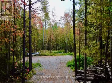 3469 Riverdale Drive, Severn, ON L0K2B0, ,Vacant Land,For Sale,Riverdale,S7046766 3469 Riverdale Drive, Severn, ON L0K2B0, ,Vacant Land,For Sale,Riverdale,S7046766