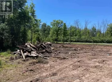 740 Helena Street, Fort Erie, ON L2A4K3, ,Vacant Land,For Sale,Helena,X7046912 740 Helena Street, Fort Erie, ON L2A4K3, ,Vacant Land,For Sale,Helena,X7046912