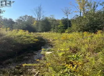 104264 Grey Road 18, Meaford, Ontario N0H1E0, ,Vacant Land,For Sale,Grey Road 18,X7047204