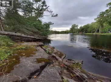 0 Shanval Lane, Marmora and Lake, Ontario K0K2M0, ,Vacant Land,For Sale,Shanval,X7203368 0 Shanval Lane, Marmora and Lake, Ontario K0K2M0, ,Vacant Land,For Sale,Shanval,X7203368