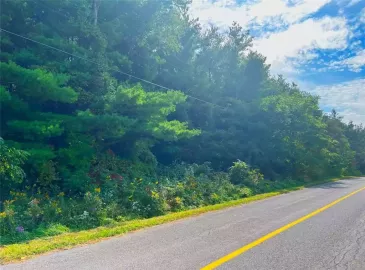 Hamilton, Ontario L0P1B0, ,Vacant Land,For Sale,H4176780 Hamilton, Ontario L0P1B0, ,Vacant Land,For Sale,H4176780