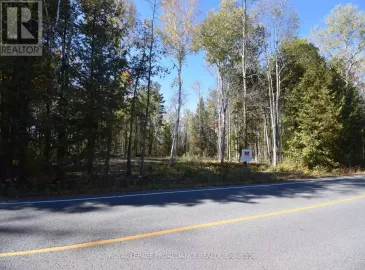 313 Old Madoc Road, Belleville, ON K0K2B0, ,Vacant Land,For Sale,Old Madoc,X7208628 313 Old Madoc Road, Belleville, ON K0K2B0, ,Vacant Land,For Sale,Old Madoc,X7208628