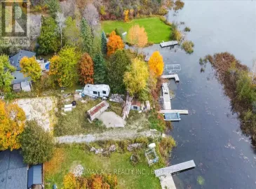 175 Mcguire Beach Road, Kawartha Lakes, Ontario K0M2B0, 3 Bedrooms Bedrooms, ,3 BathroomsBathrooms,Single Family,For Sale,Mcguire Beach,X7218794