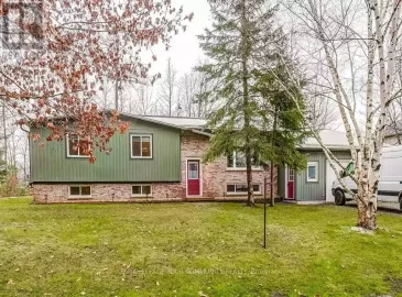 B32 Ball, Brock, Ontario L0K1A0, 4 Bedrooms Bedrooms, ,2 BathroomsBathrooms,Single Family,For Sale,Ball,N7291604