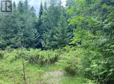 0 Barcroft Road, Galway-Cavendish and Harvey, Ontario K0L1J0, ,Vacant Land,For Sale,Barcroft,X6785506 0 Barcroft Road, Galway-Cavendish and Harvey, Ontario K0L1J0, ,Vacant Land,For Sale,Barcroft,X6785506