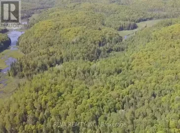 00 Airport Road, Faraday, Ontario K0L1C0, ,Vacant Land,For Sale,Airport,X7025526 00 Airport Road, Faraday, Ontario K0L1C0, ,Vacant Land,For Sale,Airport,X7025526
