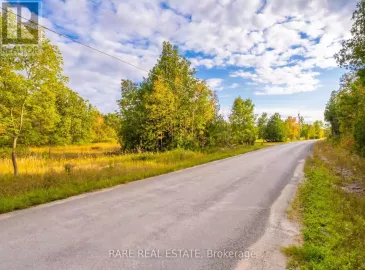 0 Lahey Road, Centre Hastings, ON K0K2K0, ,Vacant Land,For Sale,Lahey,X7057722