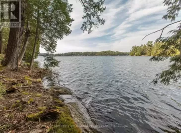364 Stanley House Road, Seguin, Ontario P0C1J0, ,Vacant Land,For Sale,Stanley House,X7210292 364 Stanley House Road, Seguin, Ontario P0C1J0, ,Vacant Land,For Sale,Stanley House,X7210292
