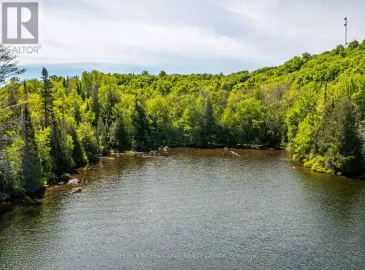 Lot 13 Loon Lake Road, Kearney, ON P0A1M0, ,Vacant Land,For Sale,Loon Lake,X7210502 Lot 13 Loon Lake Road, Kearney, ON P0A1M0, ,Vacant Land,For Sale,Loon Lake,X7210502