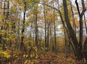 Lot 3 Concession 8 Road, West Grey, Ontario N0C1H0, ,Vacant Land,For Sale,Concession 8,X7212104