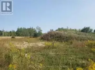 270 Young Street, Southgate, Ontario N0C1B0, ,Vacant Land,For Sale,Young,X7292572