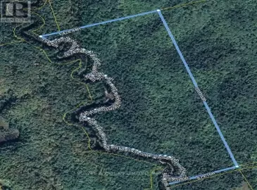 729 Bush Road, North Kawartha, Ontario K0L1A0, ,Vacant Land,For Sale,Bush,X7206962 729 Bush Road, North Kawartha, Ontario K0L1A0, ,Vacant Land,For Sale,Bush,X7206962
