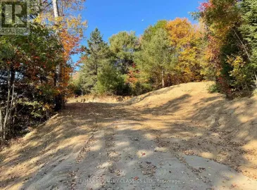 178 Gaebel Road, Bancroft, ON K0L1C0, ,Vacant Land,For Sale,Gaebel,X7214892