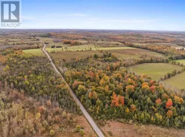 00 Webb Road, Alnwick/Haldimand, ON K0K2X0, ,Vacant Land,For Sale,Webb,X7215868