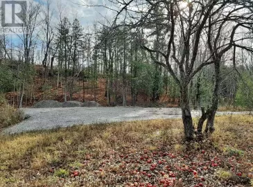 1532 O'hara Road, Madoc, ON K0K2K0, ,Vacant Land,For Sale,O'hara,X7294614