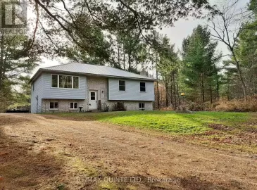 229 Moores Road, Tweed, ON K0K3J0, 4 Bedrooms Bedrooms, ,1 BathroomBathrooms,Single Family,For Sale,Moores,X7207676 229 Moores Road, Tweed, ON K0K3J0, 4 Bedrooms Bedrooms, ,1 BathroomBathrooms,Single Family,For Sale,Moores,X7207676