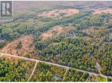 0 Lt 19 Con 5, Kawartha Lakes, Ontario K0M1K0, ,Vacant Land,For Sale,Lt 19 Con 5,X7292718 0 Lt 19 Con 5, Kawartha Lakes, Ontario K0M1K0, ,Vacant Land,For Sale,Lt 19 Con 5,X7292718