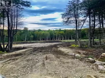 20833 Highway 118, Highlands East, ON K0L2A0, ,Vacant Land,For Sale,Highway 118,X7294446