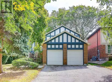 67 Pinnacle Road, Toronto, ON M2L2V6, 4 Bedrooms Bedrooms, ,4 BathroomsBathrooms,Single Family,For Lease,Pinnacle,C7295446