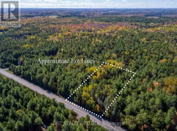 4 & 6 County Rd 40, Douro-Dummer, Ontario K0L2V0, ,Vacant Land,For Sale,County Rd 40,X7013778