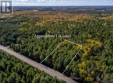 1 & 3 County Rd 40, Douro-Dummer, Ontario K0L2V0, ,Vacant Land,For Sale,County Rd 40,X7017844