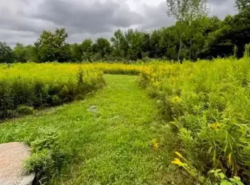 N/A Rapids Rd, Tweed, ON K0K3J0, ,Vacant Land,For Sale,Rapids Rd,X7029052