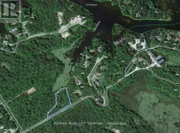 3640 Narrows Road, Severn, ON L0K1E0, ,Vacant Land,For Sale,Narrows,S7295324