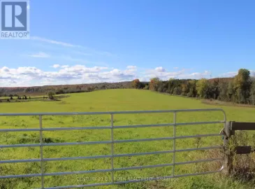 388 Woodland Drive, Oro-Medonte, Ontario L3V0R8, ,Vacant Land,For Sale,Woodland,S7298902